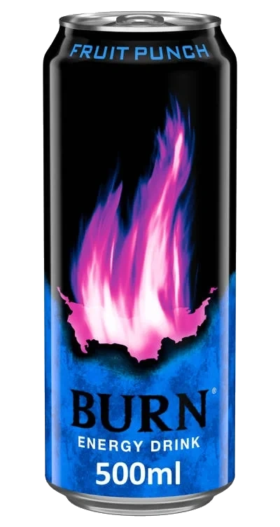 Burn Fruit Punch 0,5l boks