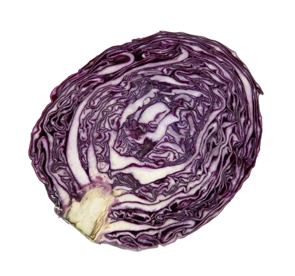 Rødkål