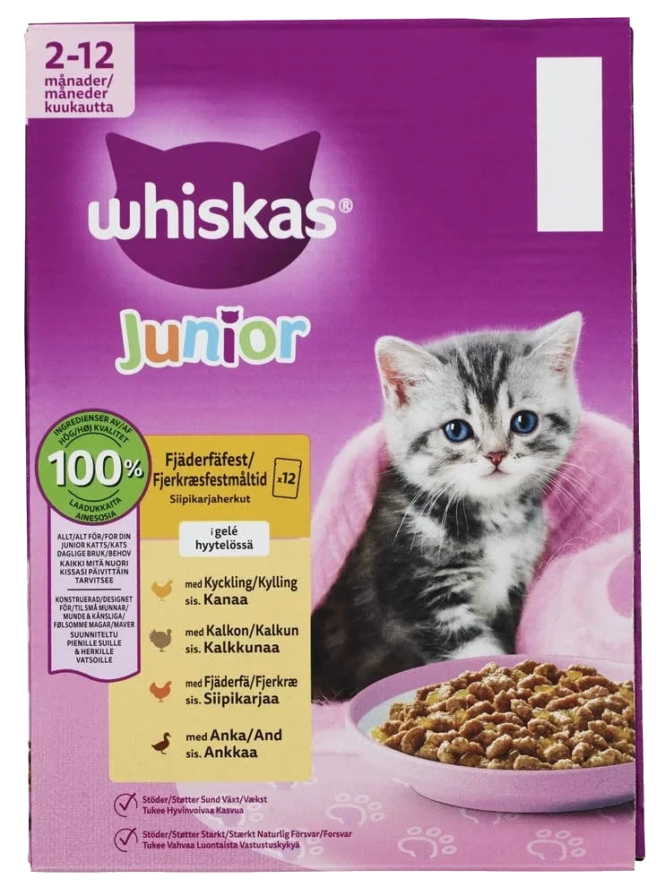 Våtfôr til kattunge med fjærkre