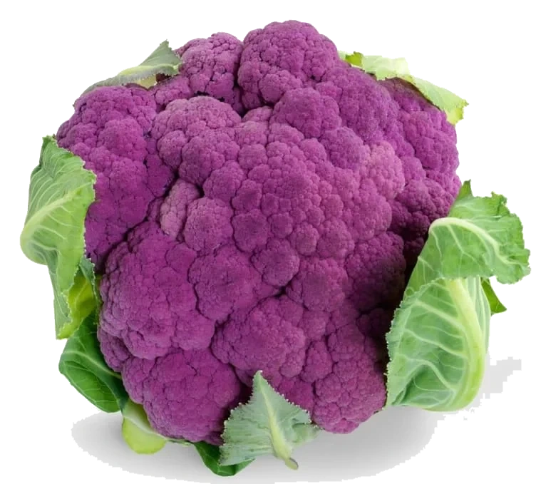 Blomkål Lilla stykk Norsk