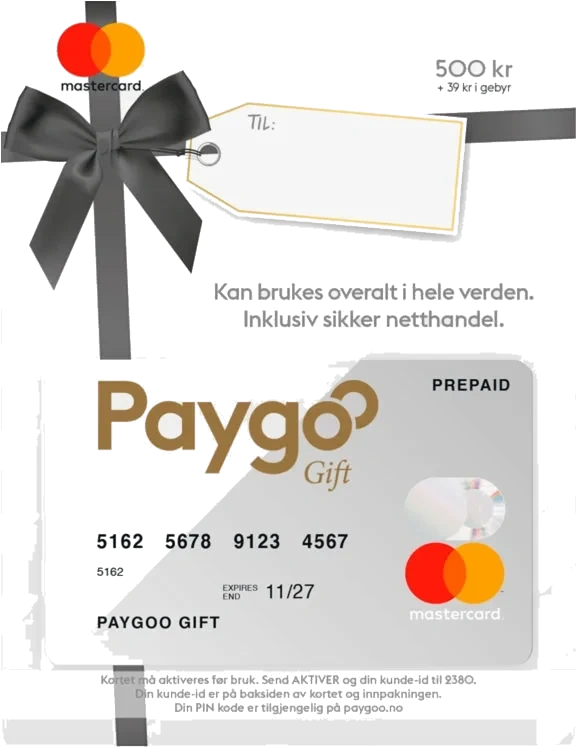 Paygoo Gavekort Kr 500