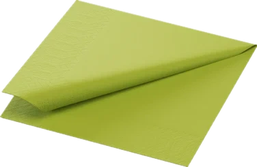 Serv.3l 24cm Kiwi