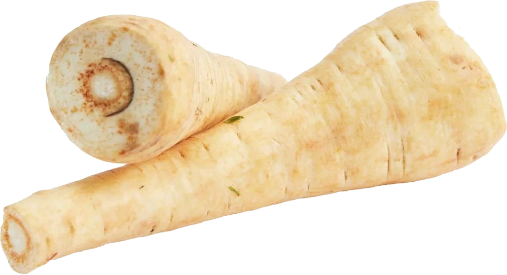 Pastinakk