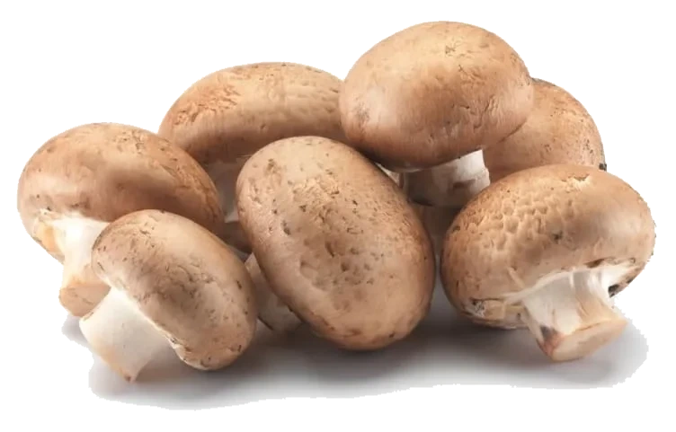 Sopp Aroma Champignon løsvekt