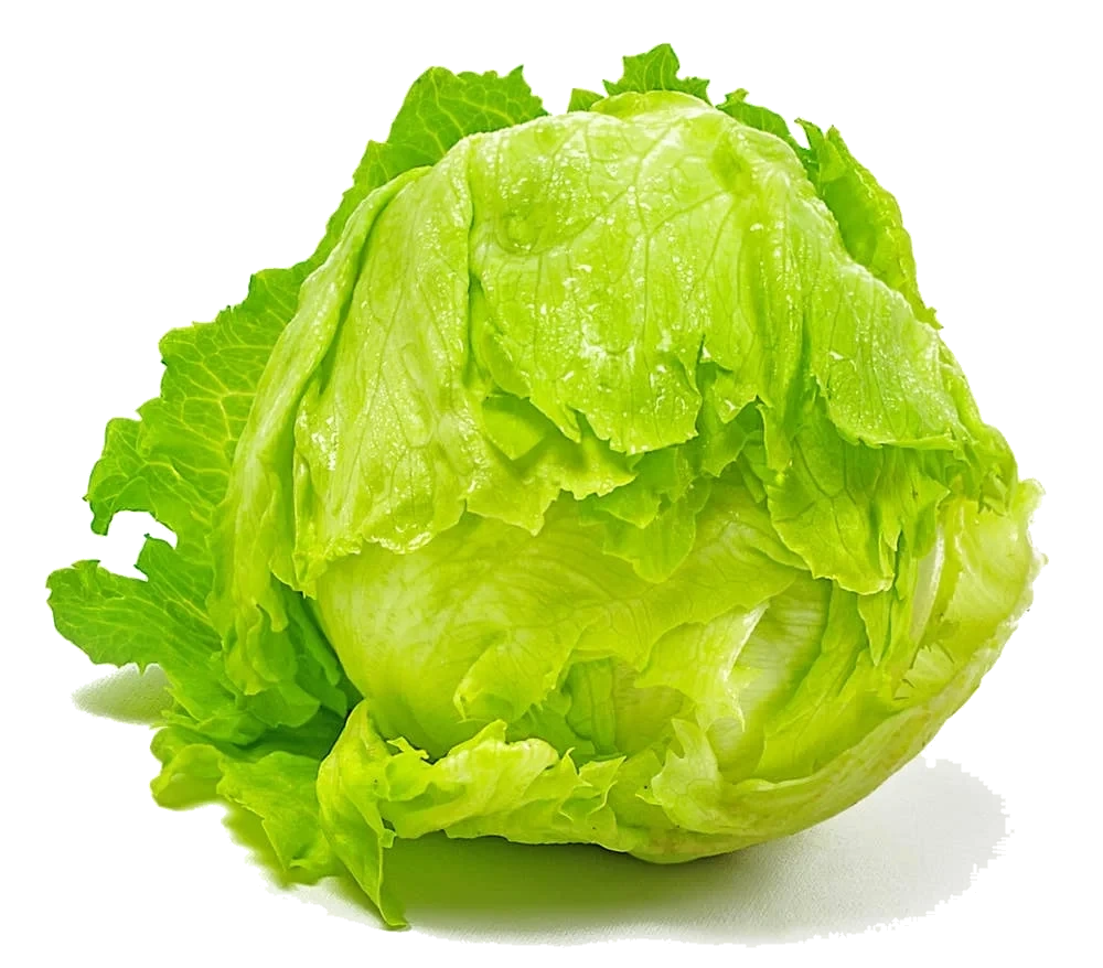 Stor isbergsalat