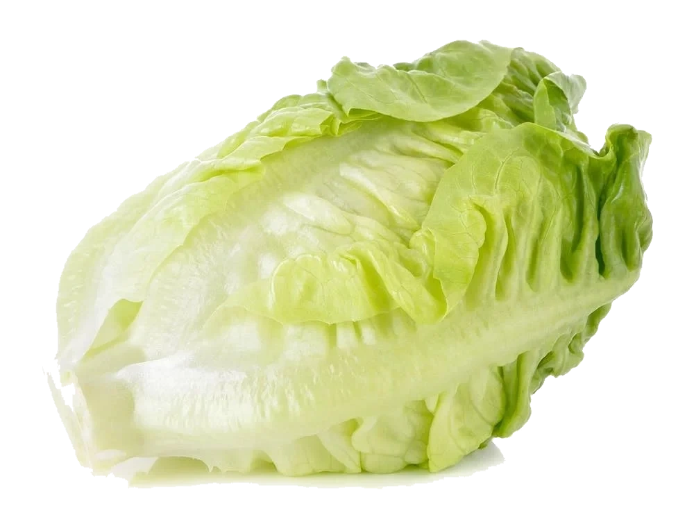 Økologisk hjertesalat