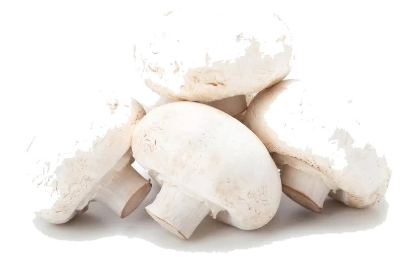 Små Champignon