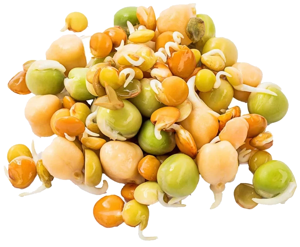 Økologiske Spiresnacks, Mix av Bønner, Erter & Linser