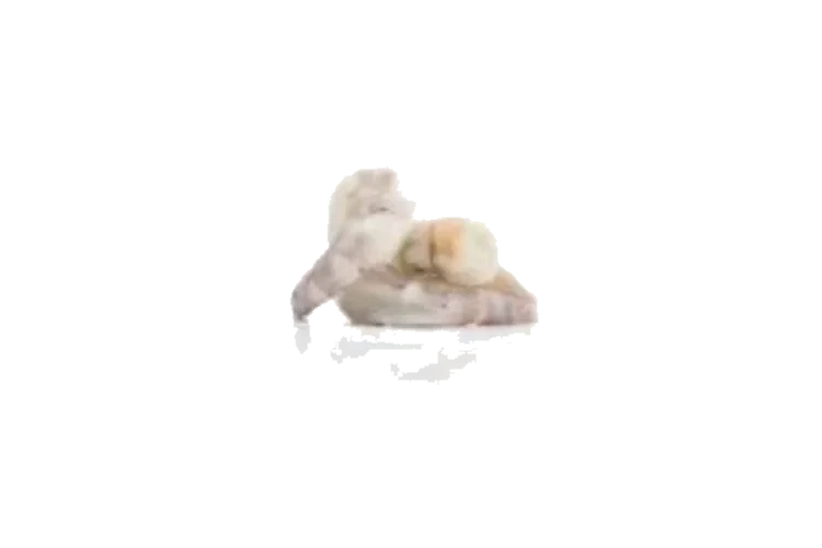 Scampi Vannamei Asc 31/40 Rå u/Skall 1kg Fiskem.