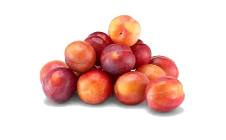 Plommer Norske