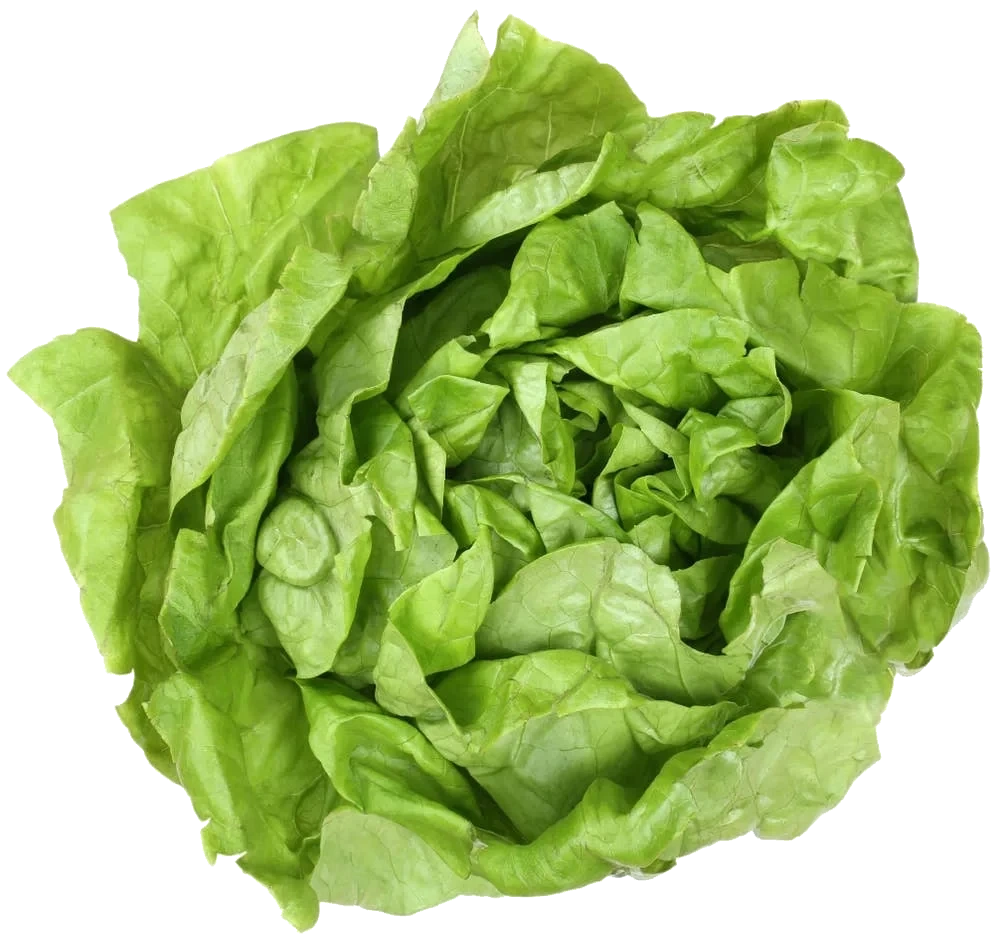 Hodesalat