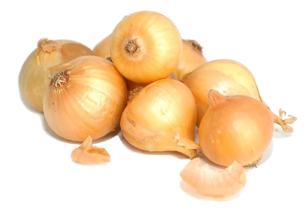 Gul Løk