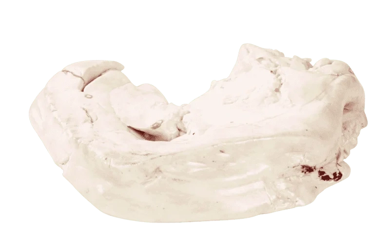 Domstein Torskelever