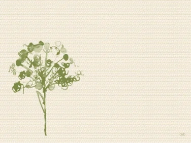Bordbrikke Bio Dunicel 30x40cm Green Umbles