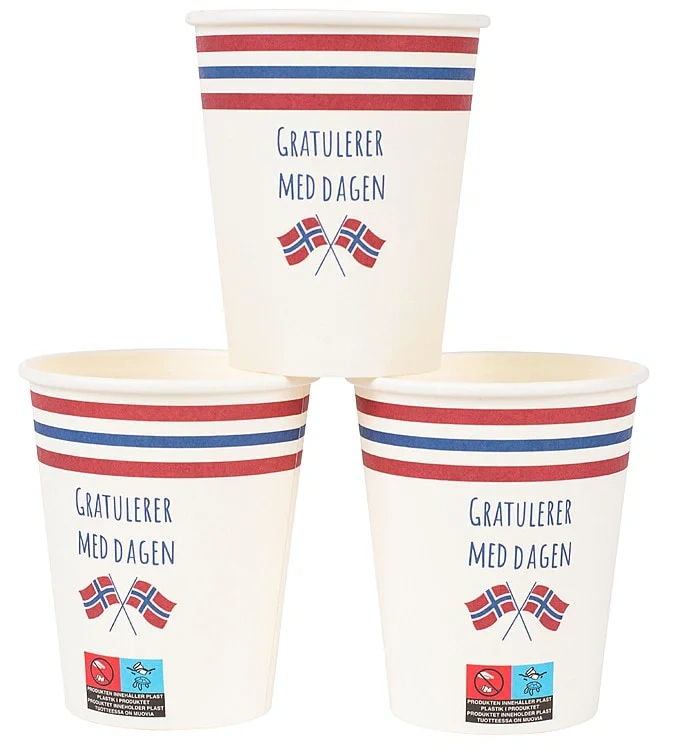 Pappbeger 17.Mai Norsk Flagg 6stk