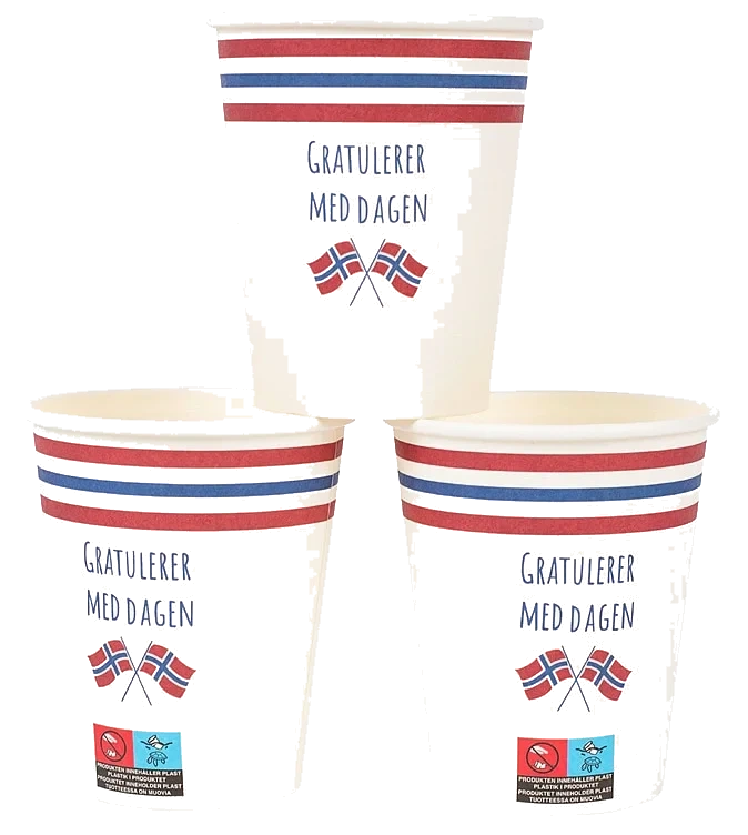 Pappbeger 17.Mai Norsk Flagg 6stk