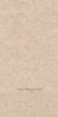 Serviett 2l40cm 1/8br I´m Recycled