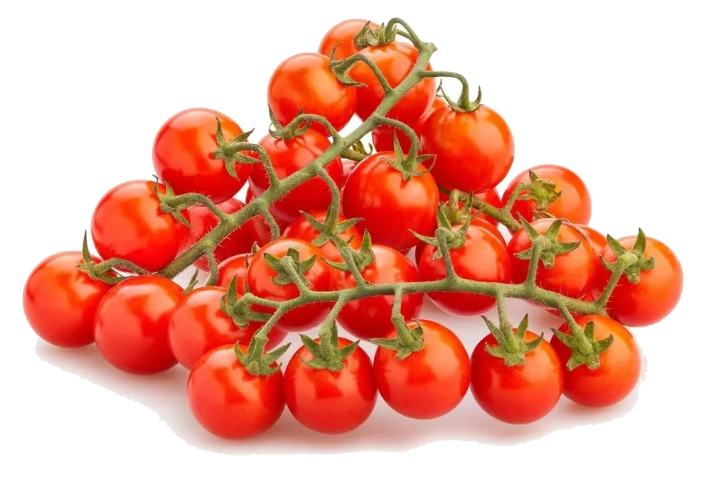 Cherrytomater klase