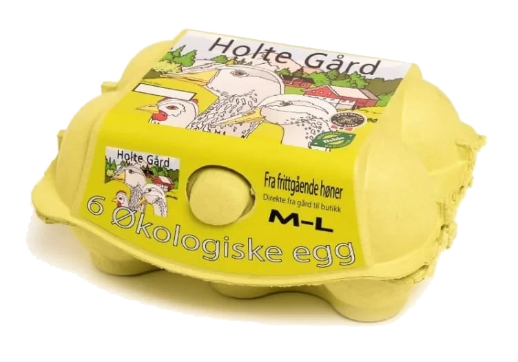 Egg Økologisk 6stk 380g Holte