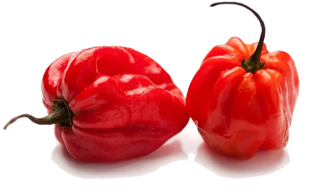 Habanero Rød