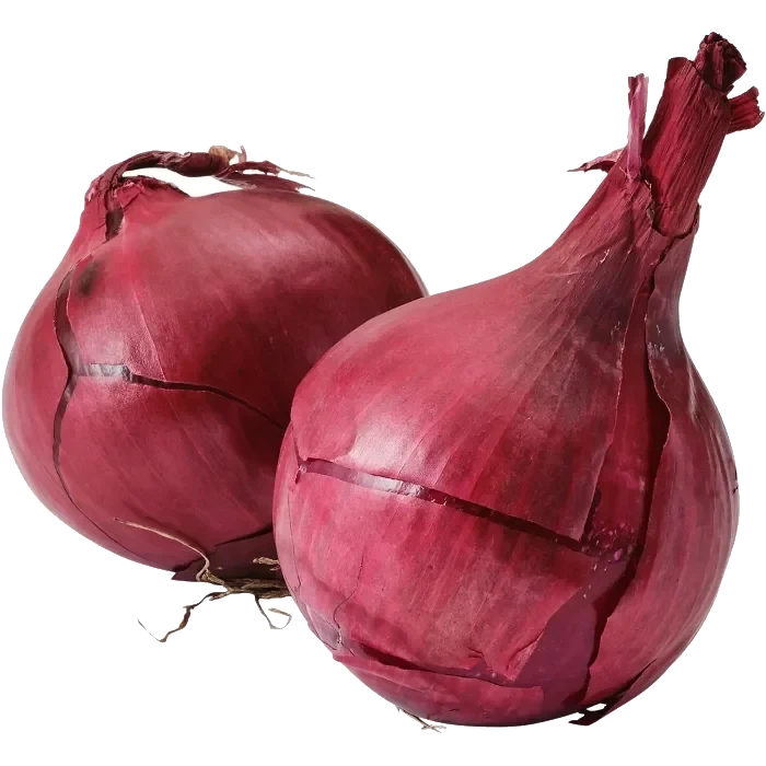 Rödlök 2-pack Klass 1