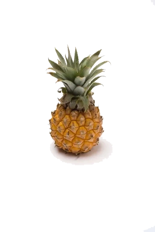 Ananas Mini stykk