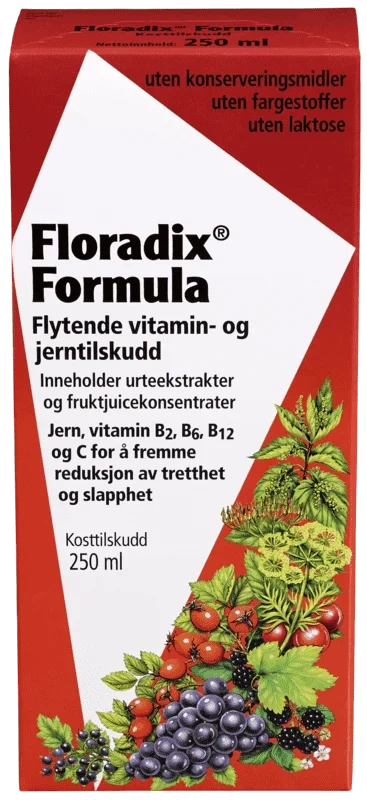 Salus Floradix Blutsaft 250ml