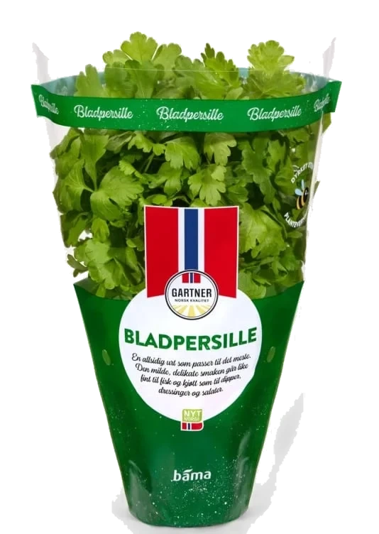 Bladpersille 9cm Potte