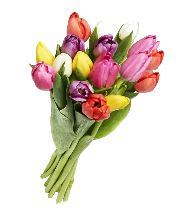 Miksbukett Tulipan 17pk