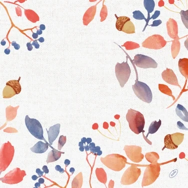 Serviett Biodunisoft 40cm Autumn Gradient