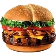 Vegetarburger Grillet 26x100g