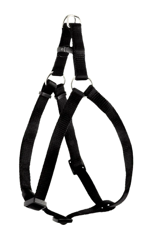 Best Friend Gear Kattesele