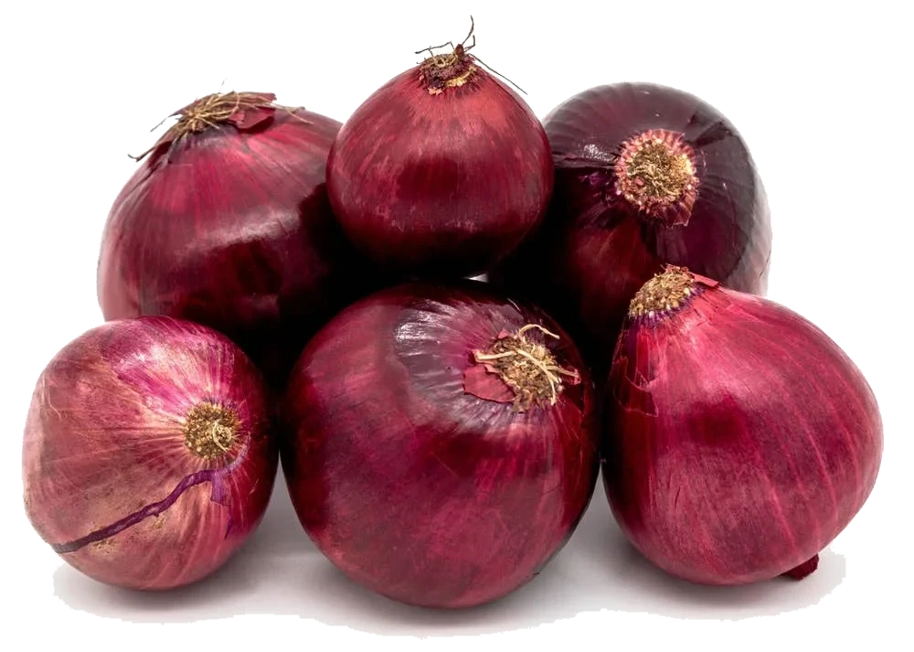 Rødløk