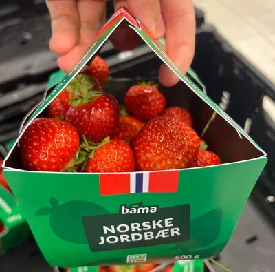 Jordbær