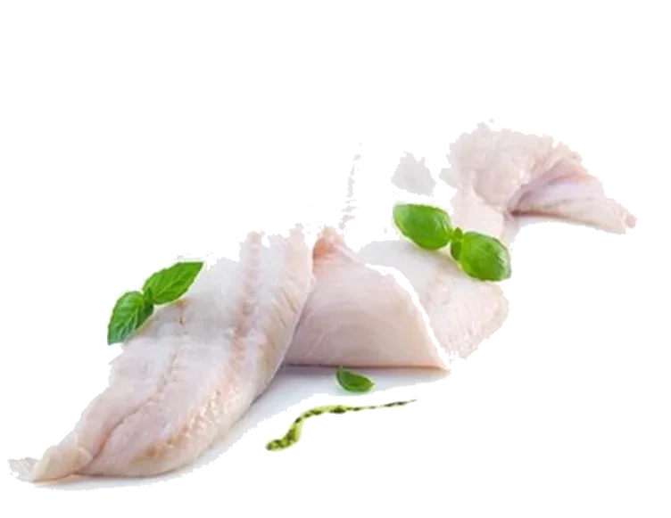 Steinbit Filet pr Kg