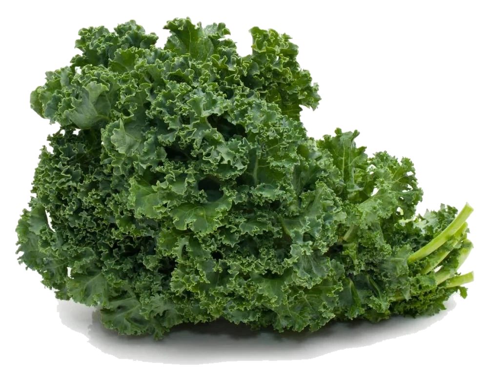 Grønnkål