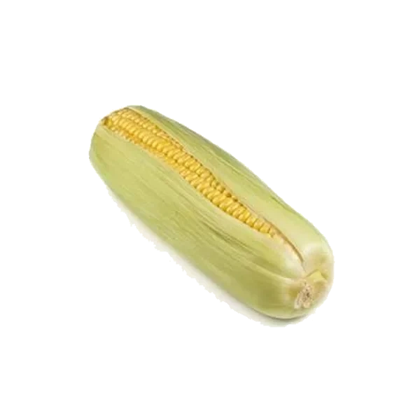 Maiskolber Pk