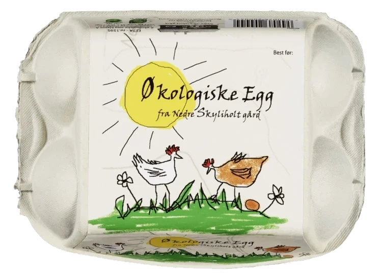 Egg Økologisk 6stk 372g Skyliholt