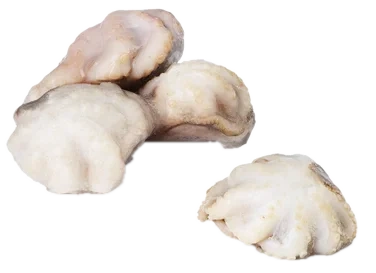 Ocean Pride Baby Squid Rå 41/50 800g