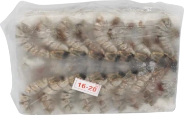 Scampi 16/20 Block Hlso 30% Glasering, Black Tiger
