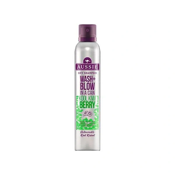 Dry Shampoo Wash + Blow