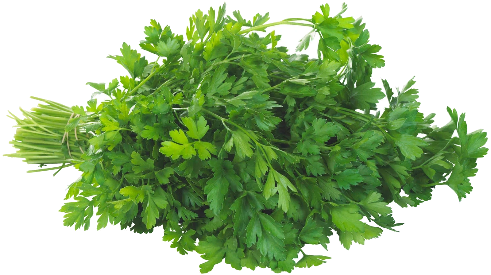 Bladpersille 25g