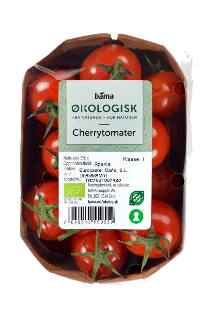 Tomat Cherry Økologisk