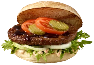 Hamburger Basic 70x100g