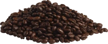 Zoégas Experience Kenya Hele Bønner 750g