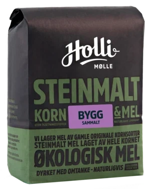 Bygg Fin Sammalt