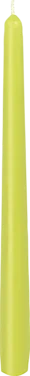 Antikklys Kiwi 25cm 7h 50x2stk