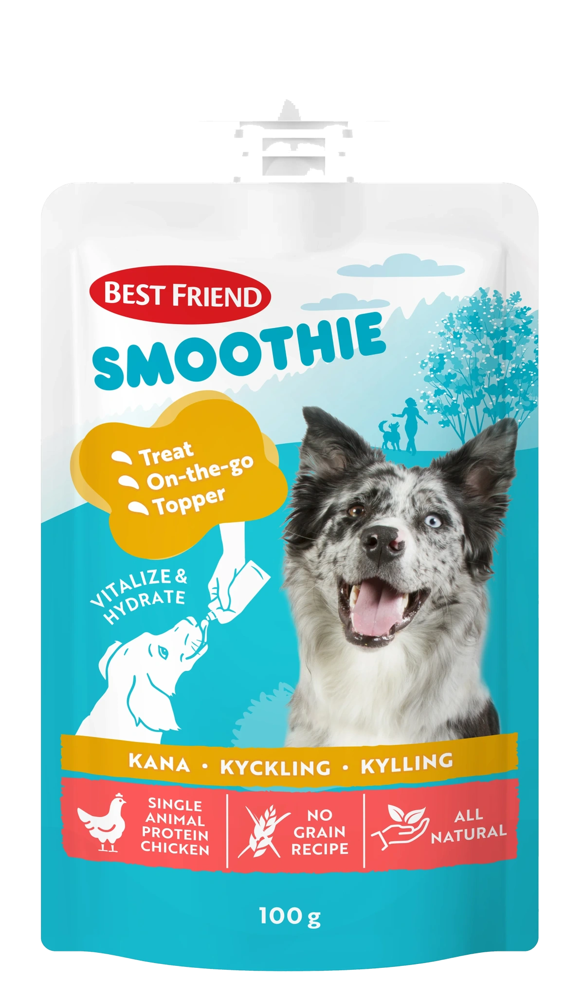 Hundgodis Smoothie Kyckling