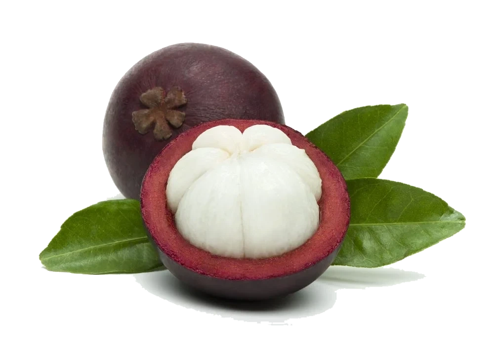 Mangostan