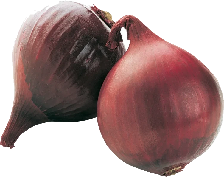 RØDLØK STRØMPE